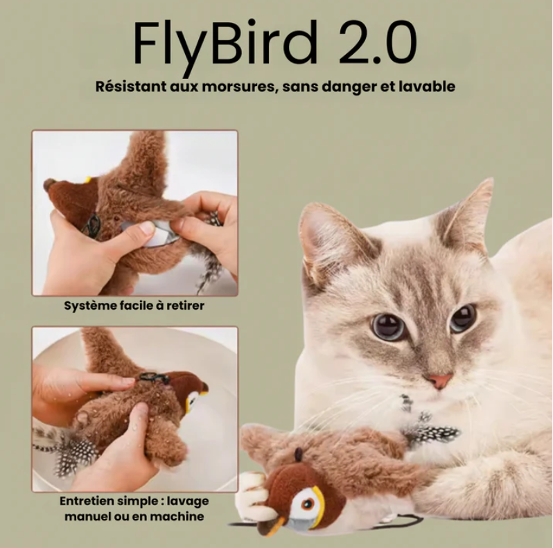 FlyBird 2.0